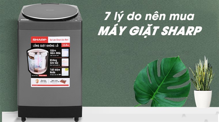 7 lý do bạn nên chọn mua máy giặt Sharp