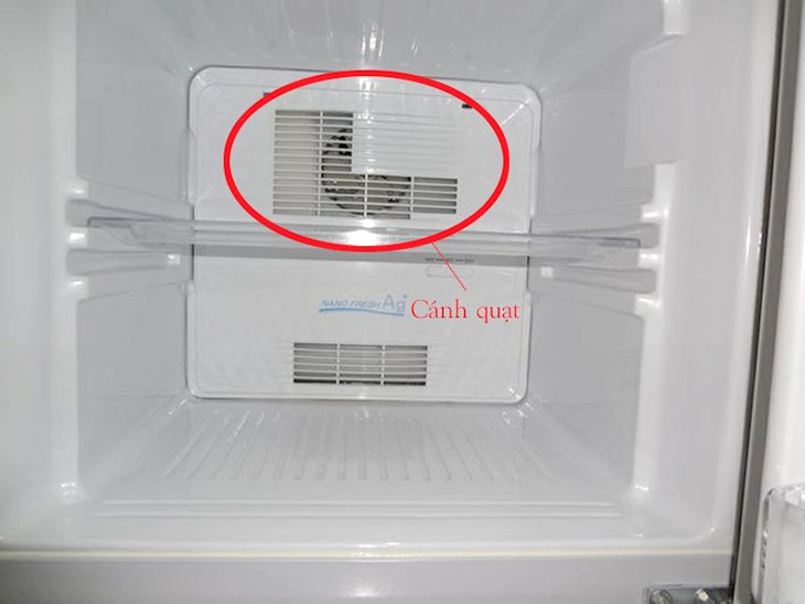 Cánh quạt tủ lạnh bị khô và dính dầu mỡ